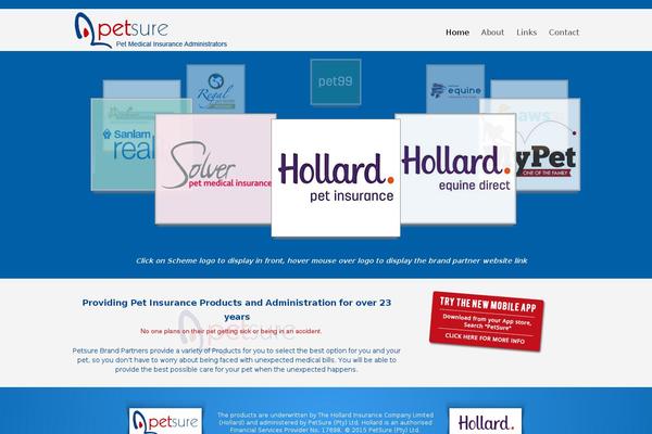 Divi theme site design template sample