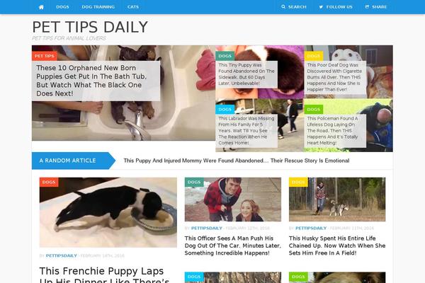 Codilight theme site design template sample