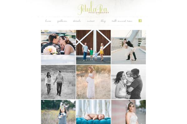 Prophoto4 theme site design template sample