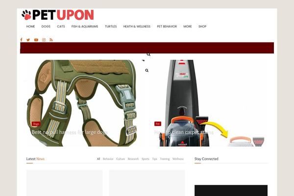 Site using Scroll Top plugin