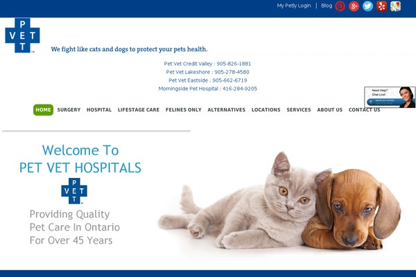 Guru theme site design template sample