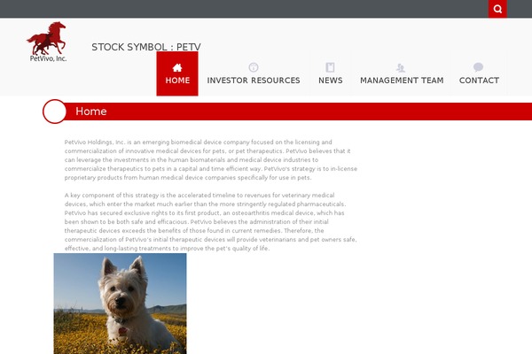 Nictitate Free theme site design template sample