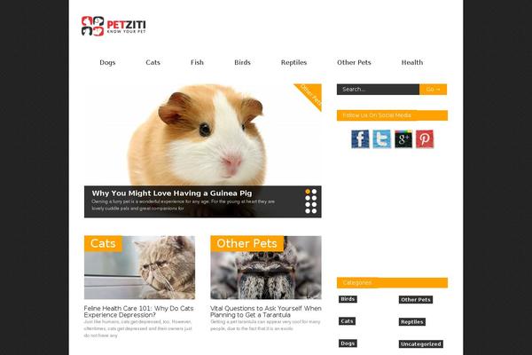 Gonzo theme site design template sample