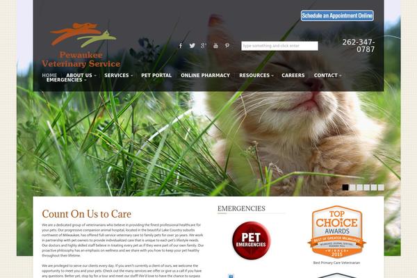 Belief theme site design template sample