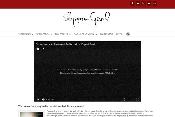 peyamigurel.com site used Avada Child Theme