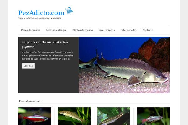 zeeFlow theme site design template sample