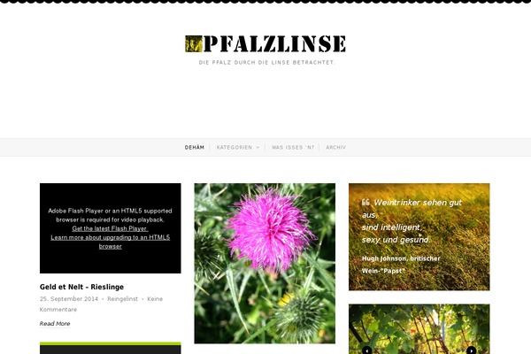 pfalzlinse.de site used Twenties