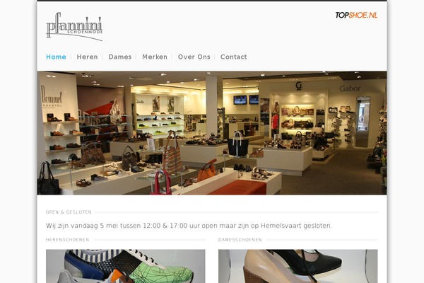 Nevada theme site design template sample