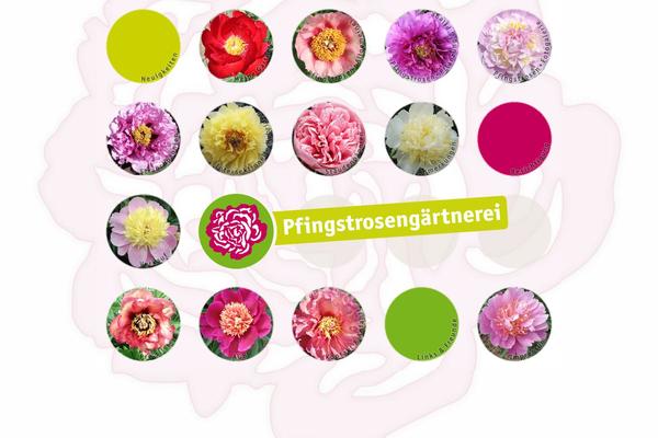 Sandbox theme site design template sample