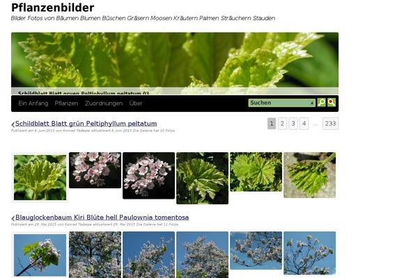 pflanzen-bilder-kaufen.de site used Skt-plants