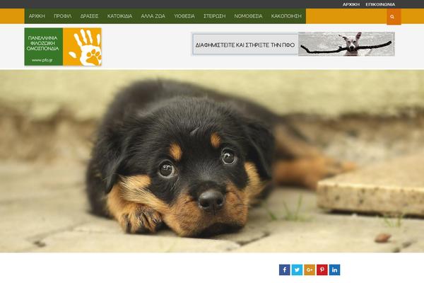 Bitz-child theme site design template sample