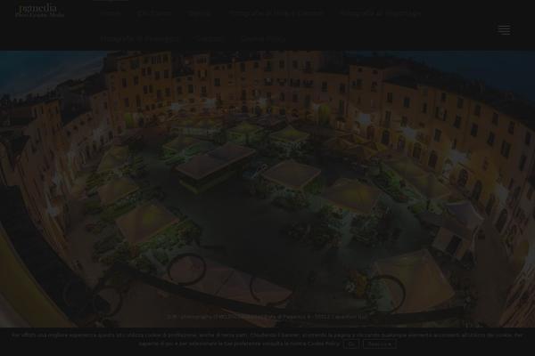 Picasso theme site design template sample