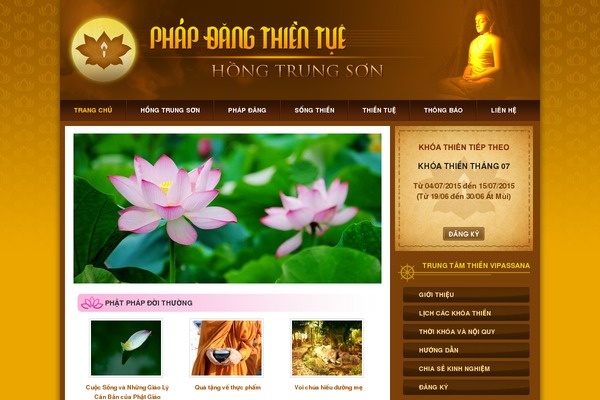 Netpress theme site design template sample