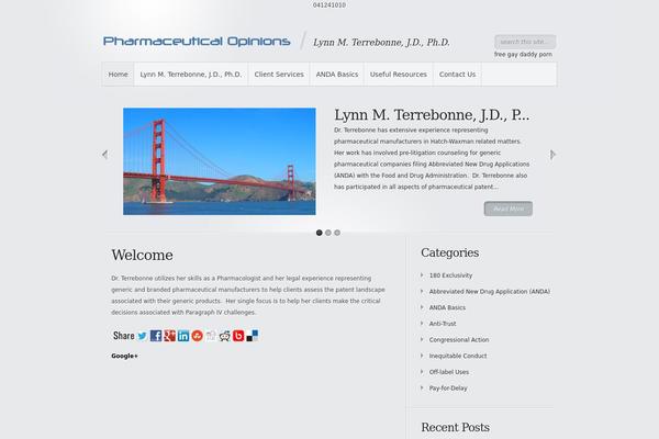 Minimal theme site design template sample