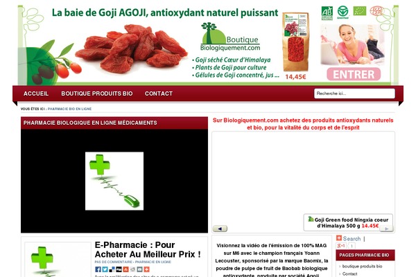 Lugada theme site design template sample