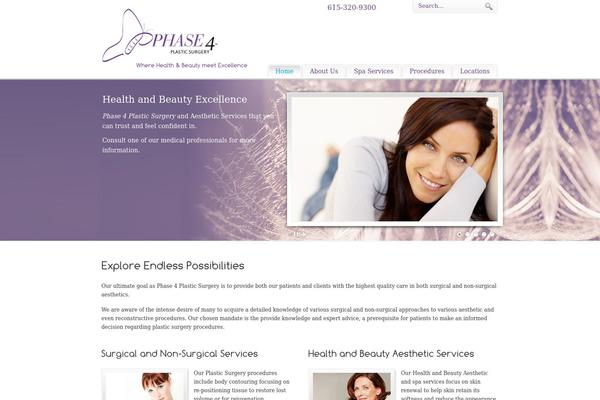 PureVISION theme site design template sample
