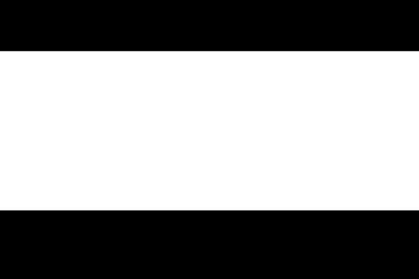 Site using Perfmatters plugin