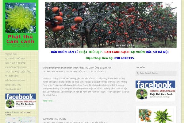 phatthucamcanh.com site used Creattica