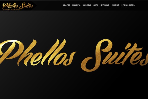 Shuttershot theme site design template sample