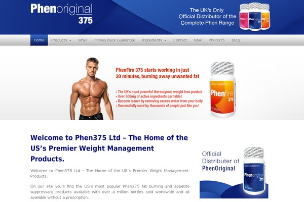 Kodax theme site design template sample