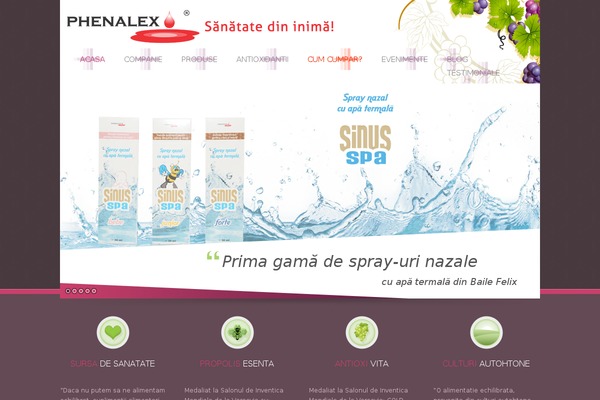 Site using Advanced Responsive Video Embedder plugin