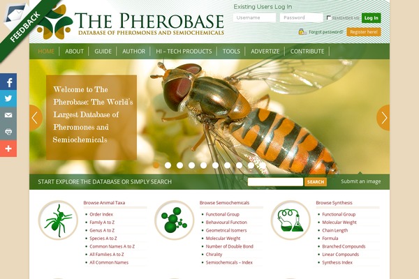 Site using amr users plugin