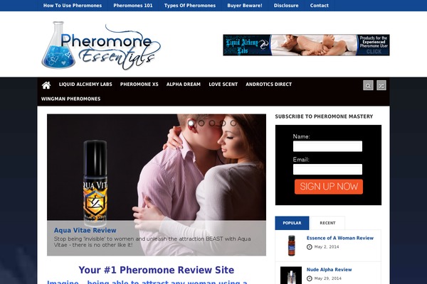 Orbit News theme site design template sample