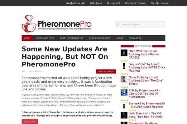 Metro Pro theme site design template sample