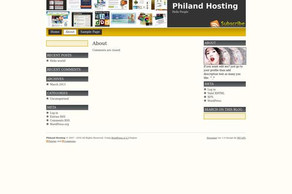 Prosumer theme site design template sample