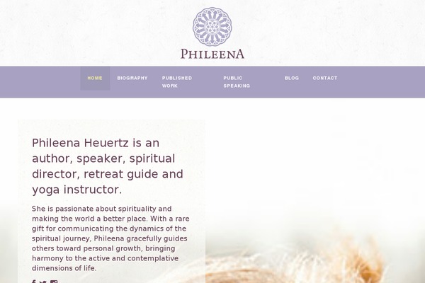 Mediso theme site design template sample