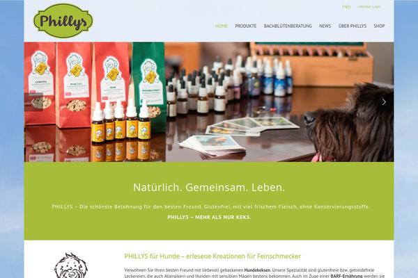 Avada theme site design template sample