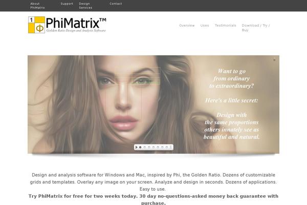 Ally theme site design template sample