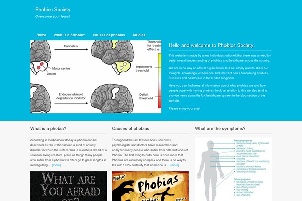Metric theme site design template sample