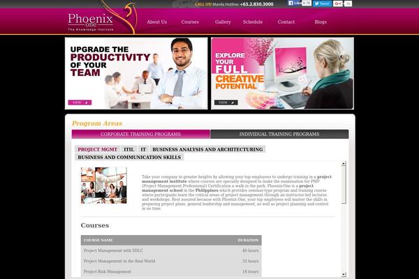 Phoenix theme site design template sample