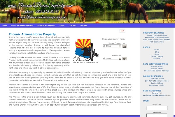 Fluid Blue theme site design template sample