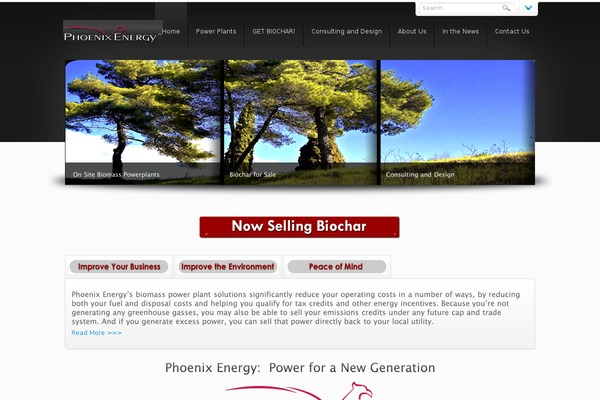 phoenixenergy.net site used Dynamix