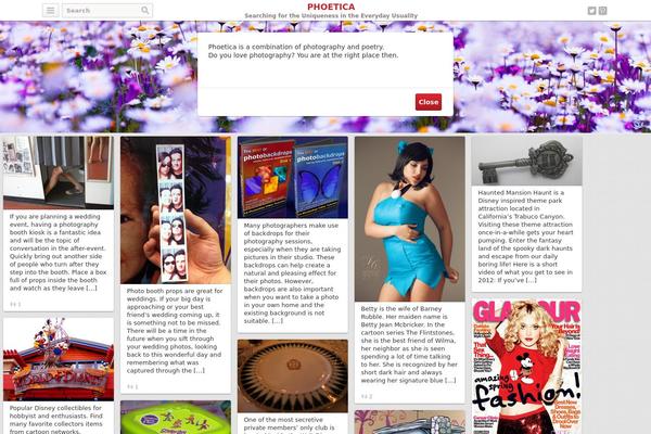 Covert PinPress theme site design template sample