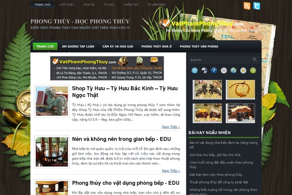 Papatya theme site design template sample