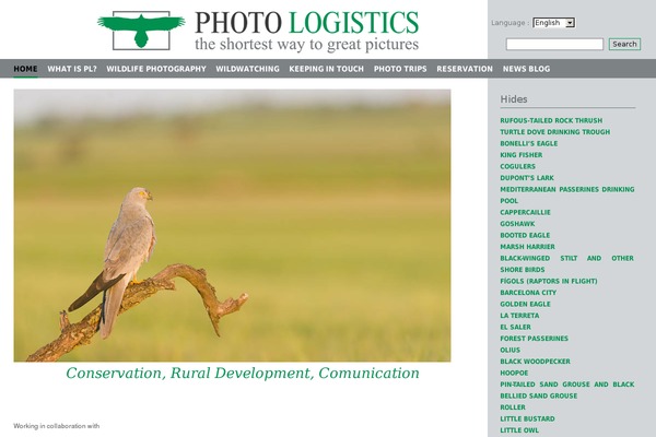 Big City theme site design template sample