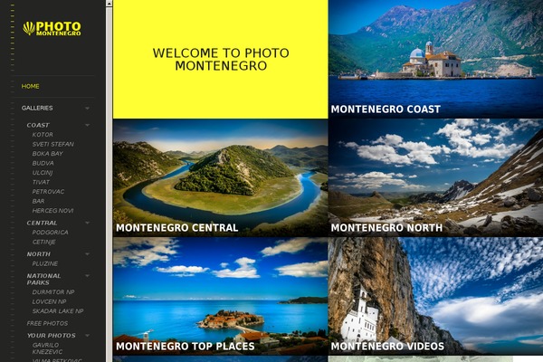 LENS theme site design template sample