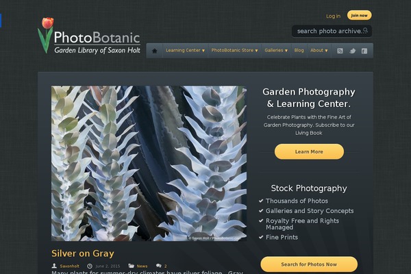 Avada Child Theme theme site design template sample