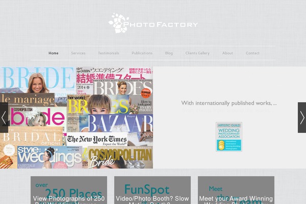 Dorado-blog theme site design template sample