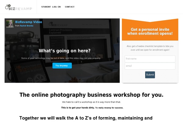 Willow theme site design template sample