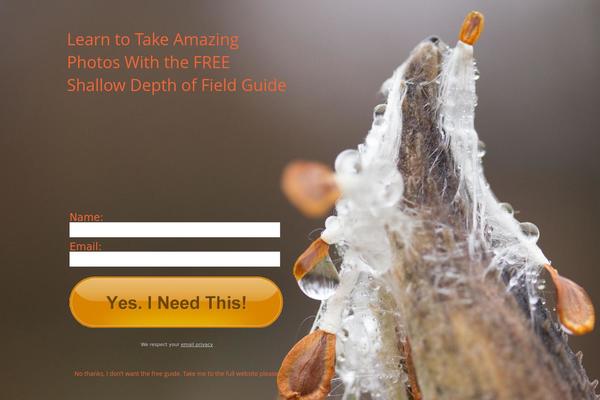 Site using Countdown_dynamite plugin