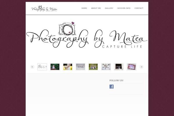 Dandelion v.2.6.7 theme site design template sample