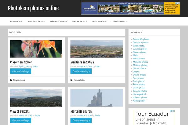 Momentous Lite theme site design template sample