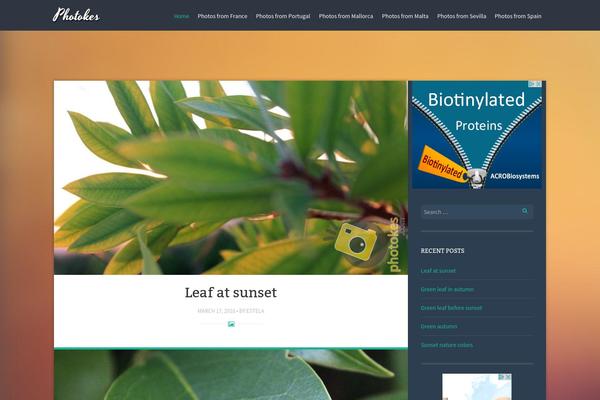 Story theme site design template sample