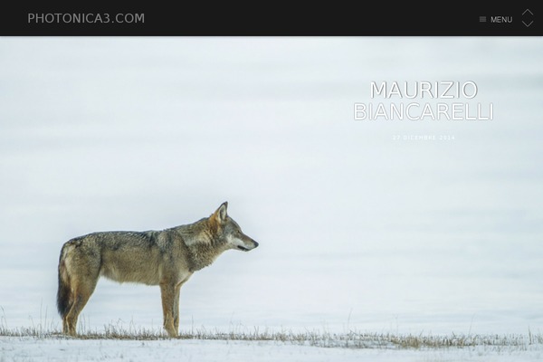 Full Frame theme site design template sample
