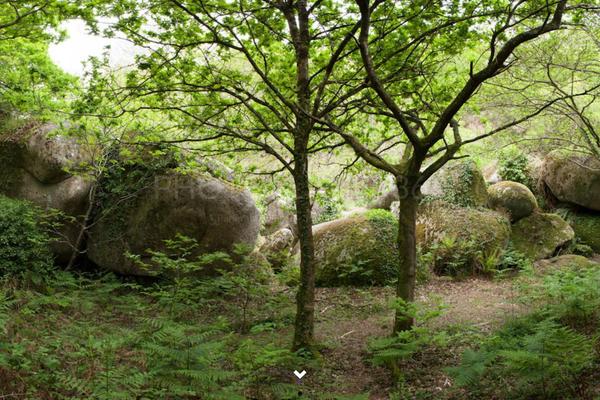 Site using Cyclone-slider-pro plugin