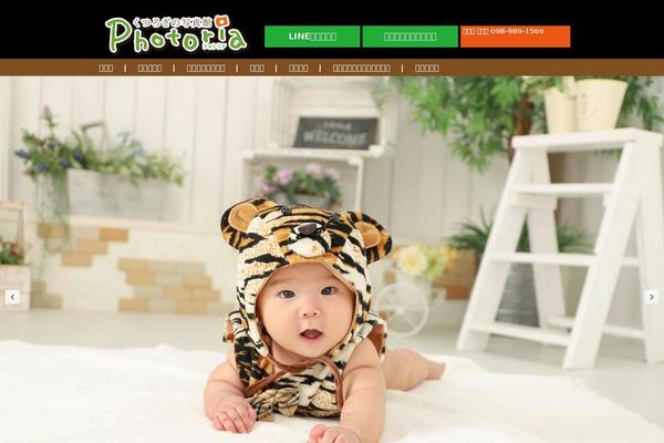 Photoria theme site design template sample